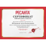 Строительный фен РЕСАНТА ФЭ-2000ЭК 75/2/2